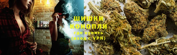 амф Долгопрудный