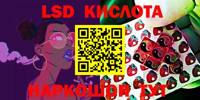 ПСИЛОЦИБИНОВЫЕ ГРИБЫ Беслан