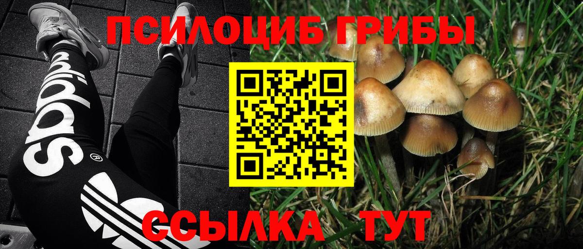 Галлюциногенные грибы прущие грибы Гагарин
